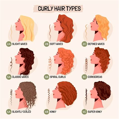 curly hair type chart