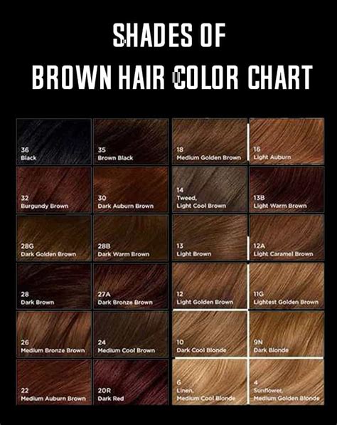 different types of brown hair