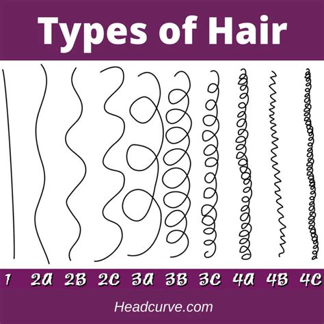 hair different types