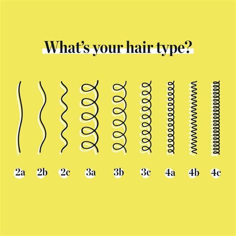 hair type 2c