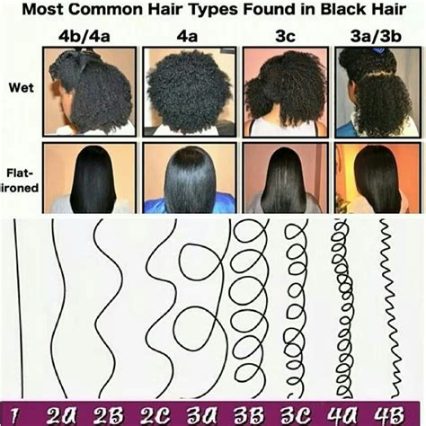 hair types black hair